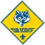 Enjoy 75% On Scholarships At Boy Scout